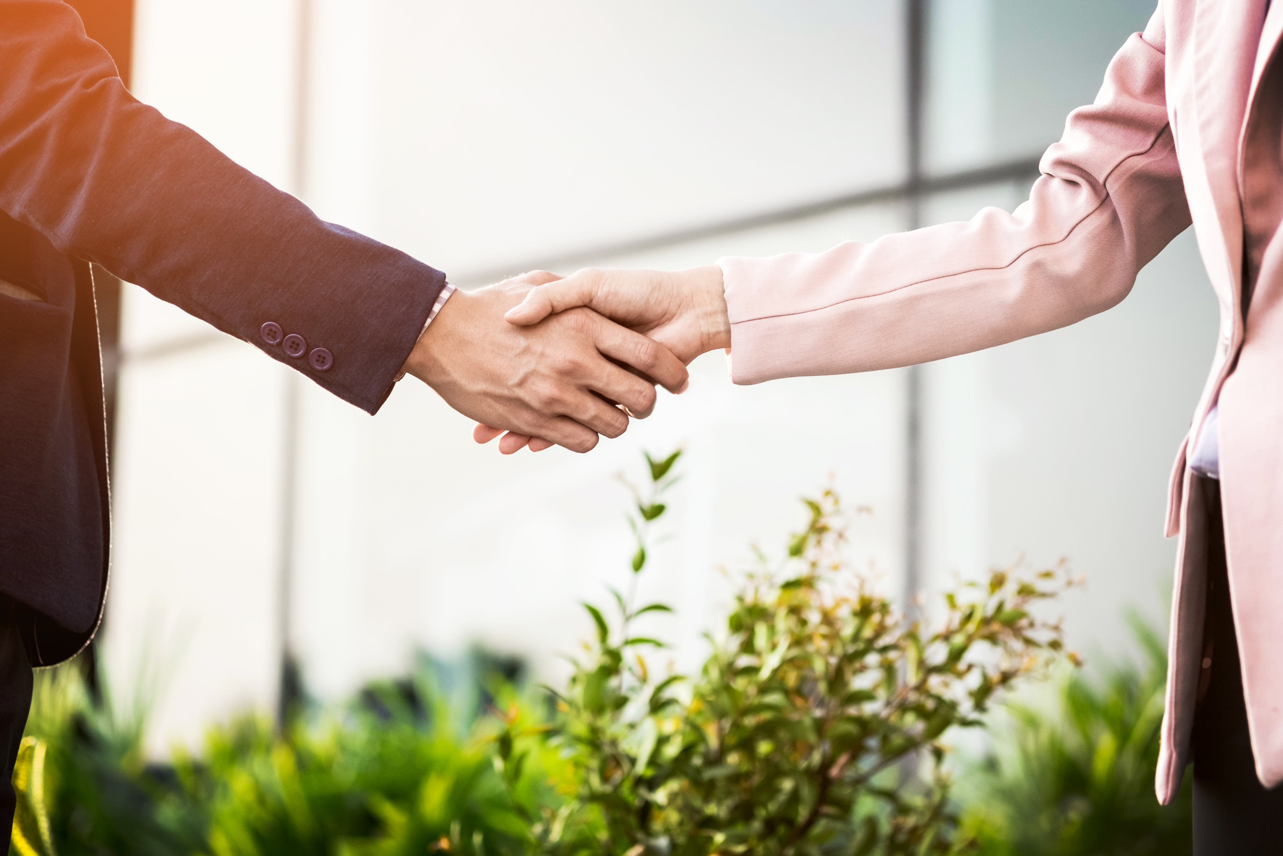Two people shaking hands representing partnership