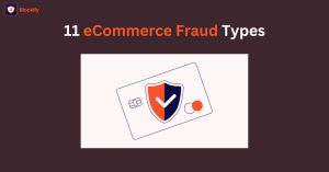 ecommerce fraud