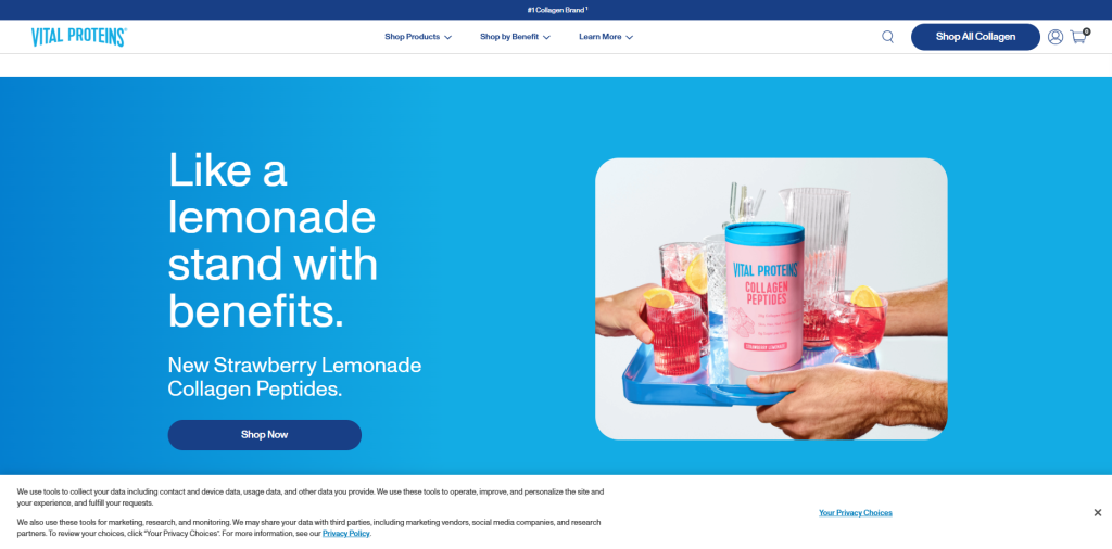 Vital Proteins Top 10 Shopify Supplement Store Examples Worth Studying